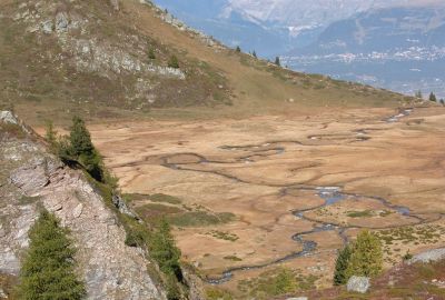Vallon